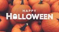Halloween across all schools is a fun and festive day which brings the school community together. With that in mind, for student safety and school climate reasons, and to ensure […]